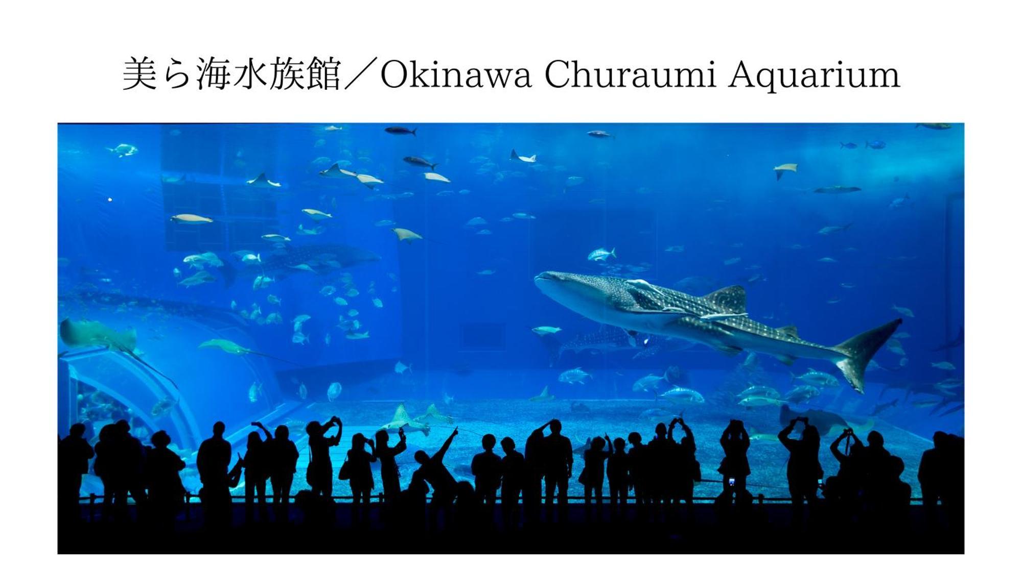 Aqua Shallows 恩纳 外观 照片